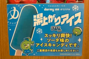 当選】ドーミーイン自慢のDOMINISTOREオリジナル枕を頂きました | ドミ