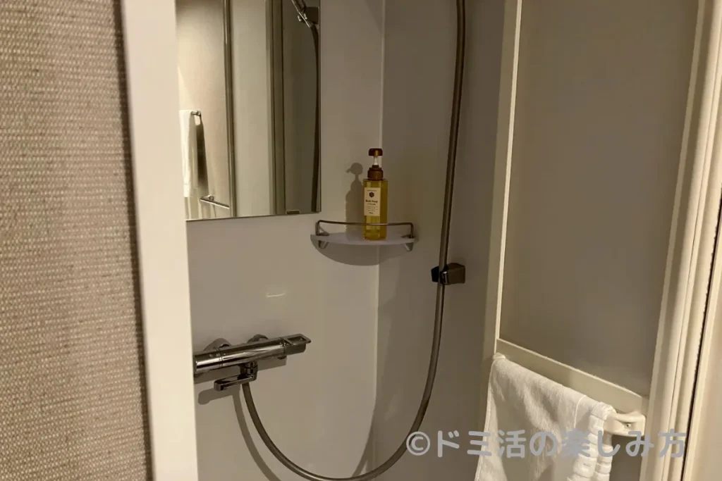 ドーミーインのトリプルルーム内のシャワーブース