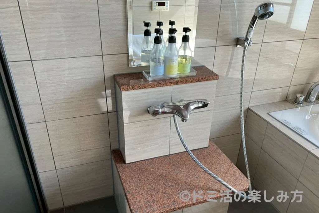 大海老で泊まった部屋内のお風呂のシャワー部分