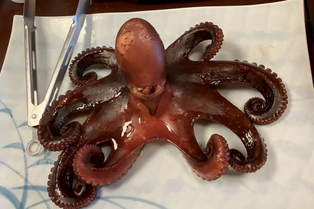 【実泊レビュー】日間賀島の大海老はたこ料理が盛りだくさんの旅館でした