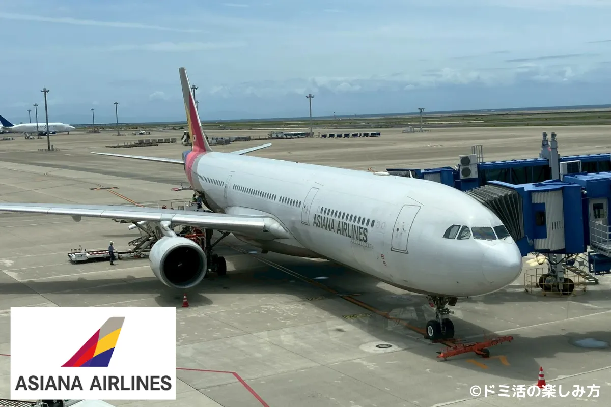【搭乗記】アシアナ航空エコノミークラスの機内食レビュー｜オンラインチェックインが楽でした