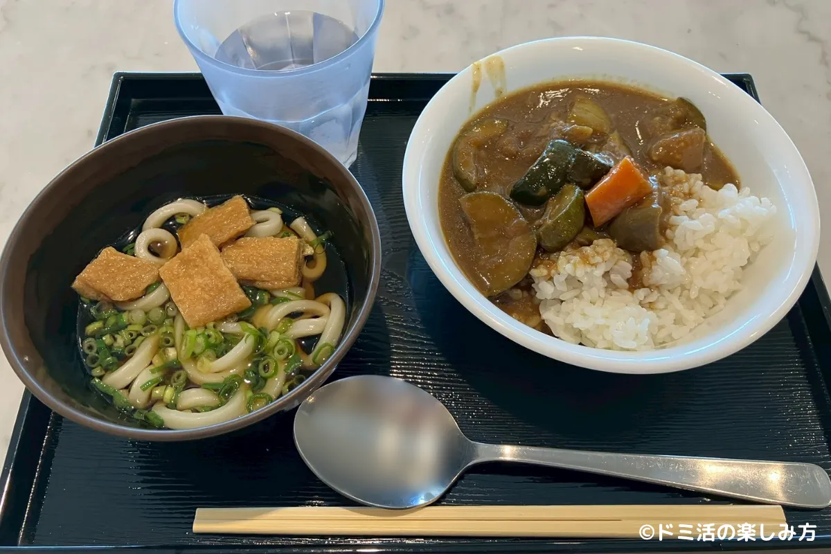 プラザプレミアムラウンジ名古屋で食べたうどんと野菜カレーの写真