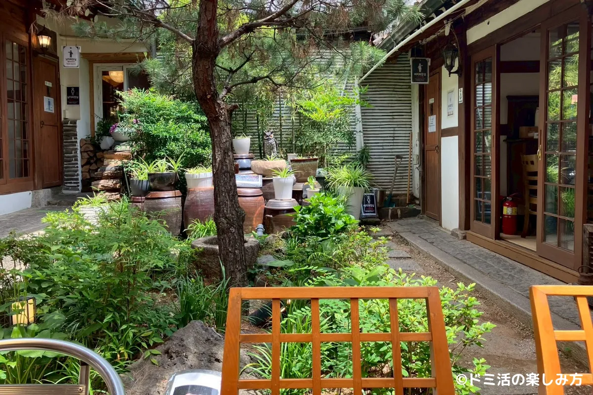 仁寺洞にあるカフェ「サラムガナム茶屋」のテラス席から見た中庭の写真