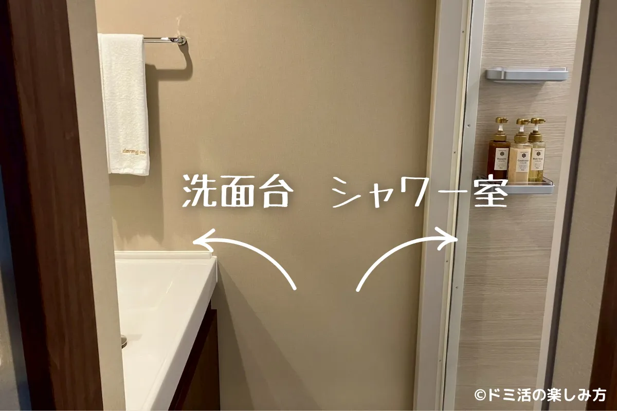 ドーミーイン千歳で宿泊したツインルーム内の洗面台とシャワー室の写真
