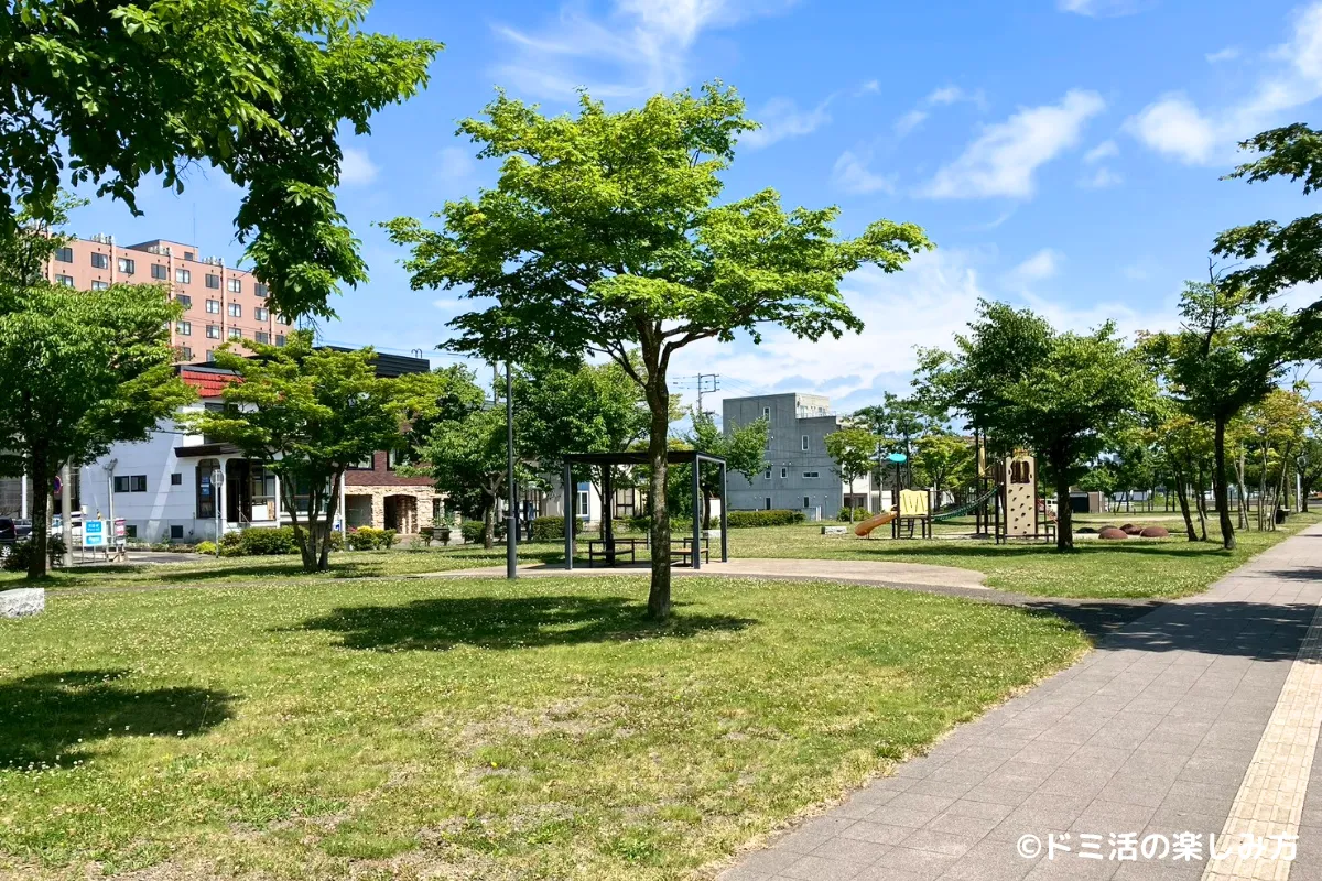 ドーミーイン千歳の目の前にある公園の写真