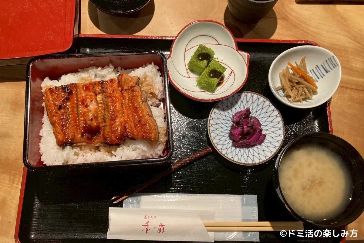 共立メンテナンスの隠れ株主優待の食事券で頼んだ「うな重御膳」